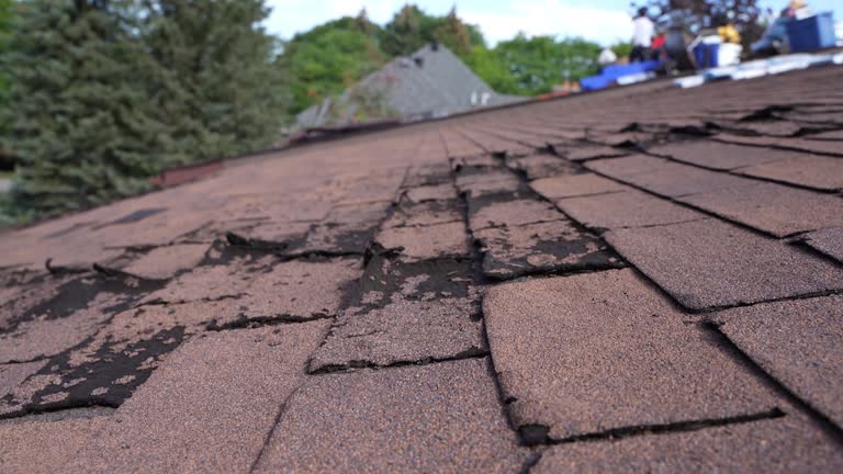 Trusted West Lawn, PA Roofing Services Experts